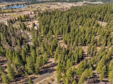 Mountain Estate lots in Jug Mountain Ranch. New homesites in - photo 22