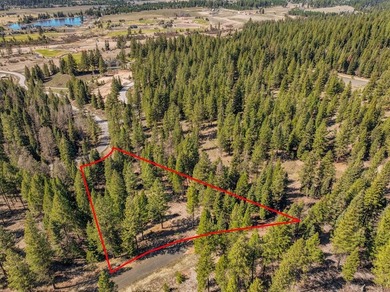 Mountain Estate lots in Jug Mountain Ranch. New homesites in - photo 23
