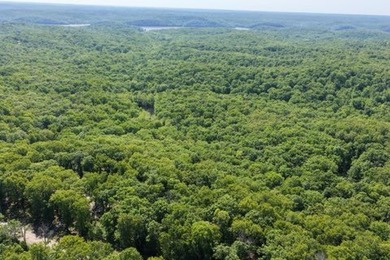 Nice wooded 8-acre tract in Benton County. This property is - photo 4