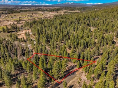 Mountain Estate lots in Jug Mountain Ranch. New homesites in - photo 25