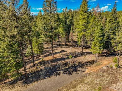 Mountain Estate lots in Jug Mountain Ranch. New homesites in - photo 26