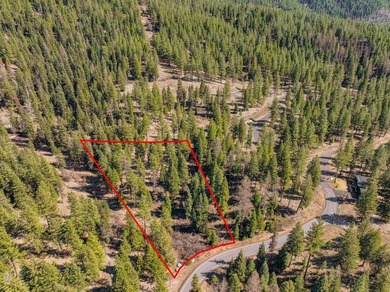 Mountain Estate lots in Jug Mountain Ranch. New homesites in - photo 28