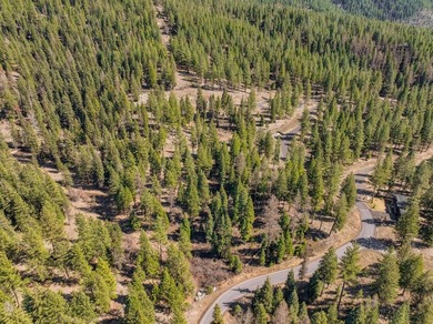 Mountain Estate lots in Jug Mountain Ranch. New homesites in - photo 29