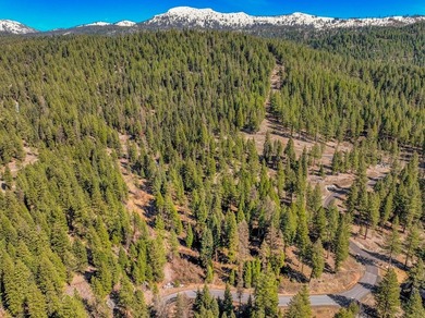 Mountain Estate lots in Jug Mountain Ranch. New homesites in - photo 31