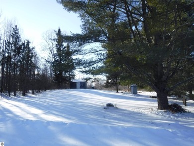 (private lake, pond, creek) Lot For Sale in South Branch Michigan