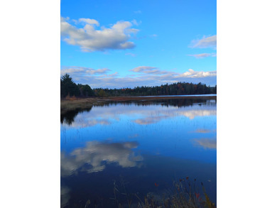 (private lake, pond, coastal) Acreage For Sale in T22 MD Maine