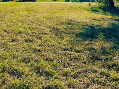 PREMIUM waterfront canal lot with NO flood zone insurance - photo 11
