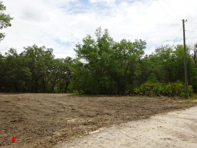 LAKEFRONT LOT IN RAINBOW LAKES ESTATES! Discover the perfect - photo 4