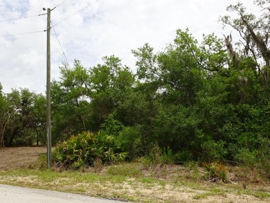 LAKEFRONT LOT IN RAINBOW LAKES ESTATES! Discover the perfect - photo 5