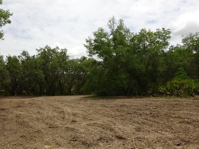 LAKEFRONT LOT IN RAINBOW LAKES ESTATES! Discover the perfect - photo 9