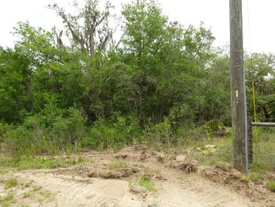 LAKEFRONT LOT IN RAINBOW LAKES ESTATES! Discover the perfect - photo 10