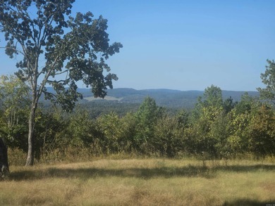Mountain Views galore!!! The highest point is on Hartshorn Court - photo 2
