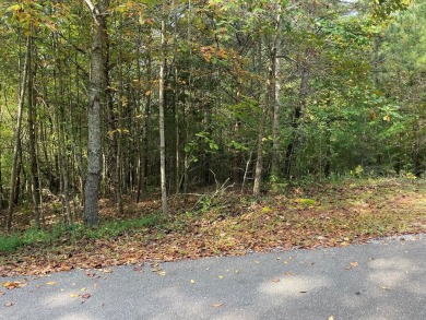Lake Acreage For Sale in Franklin, North Carolina