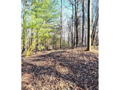 Carters Lake Lot For Sale in Talking Rock Georgia