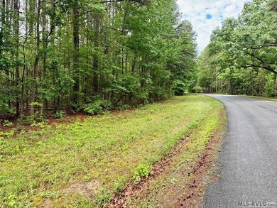 10 Acres right at the lake and The Ivy Hill Boat Ramp on Kerr - photo 1