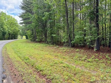 10 Acres right at the lake and The Ivy Hill Boat Ramp on Kerr - photo 2
