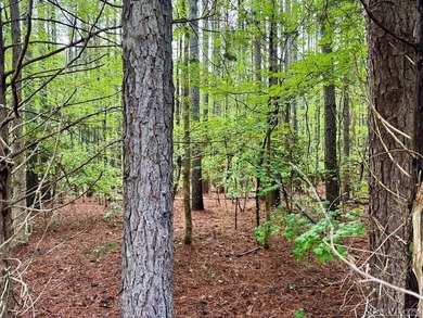 10 Acres right at the lake and The Ivy Hill Boat Ramp on Kerr - photo 3
