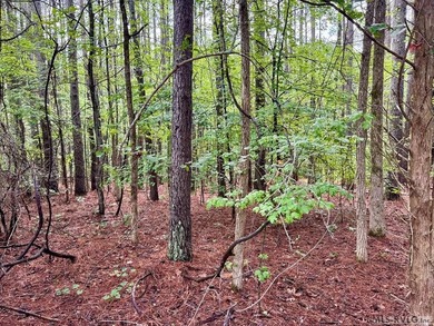 10 Acres right at the lake and The Ivy Hill Boat Ramp on Kerr - photo 4