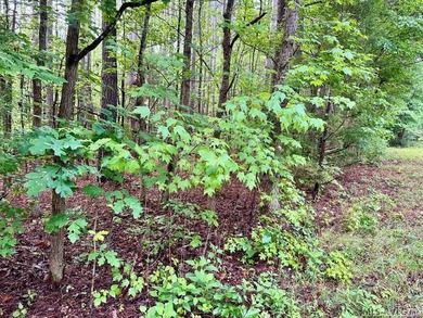 10 Acres right at the lake and The Ivy Hill Boat Ramp on Kerr - photo 5