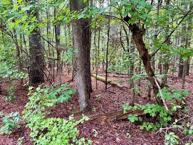 10 Acres right at the lake and The Ivy Hill Boat Ramp on Kerr - photo 6