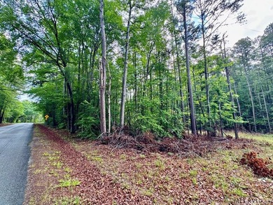 10 Acres right at the lake and The Ivy Hill Boat Ramp on Kerr - photo 7