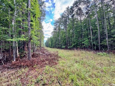 10 Acres right at the lake and The Ivy Hill Boat Ramp on Kerr - photo 8