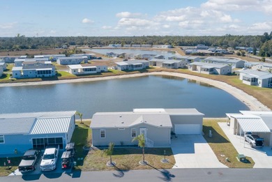 (private lake, pond, coastal) Home For Sale in Lake Suzy Florida