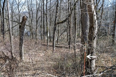 This .60-acre wooded building lot is nestled in a quiet - photo 3