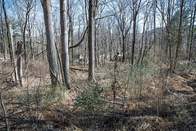 This .60-acre wooded building lot is nestled in a quiet - photo 4