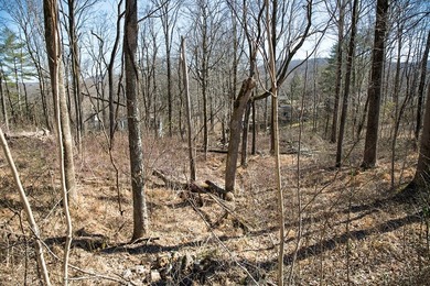 This .60-acre wooded building lot is nestled in a quiet - photo 5