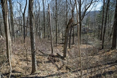 This .60-acre wooded building lot is nestled in a quiet - photo 6