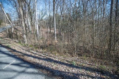 This .60-acre wooded building lot is nestled in a quiet - photo 7