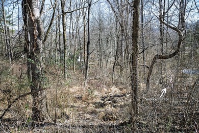 This .60-acre wooded building lot is nestled in a quiet - photo 8
