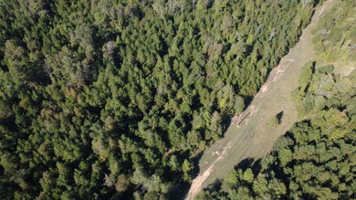 Chickamauga Lake Acreage For Sale in Georgetown Tennessee