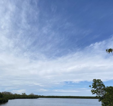 South Branch Manatee River  Home For Sale in Ruskin Florida