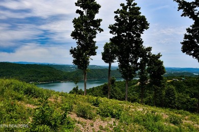 Hickory Pointe at Norris Lake. Lake and mountain view lot - photo 2