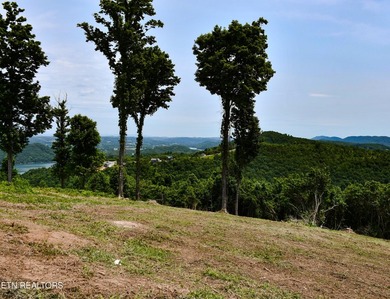 Hickory Pointe at Norris Lake. Lake and mountain view lot - photo 4