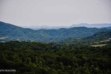 Hickory Pointe at Norris Lake. Lake and mountain view lot - photo 5