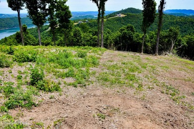 Hickory Pointe at Norris Lake. Lake and mountain view lot - photo 6
