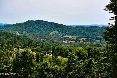 Hickory Pointe at Norris Lake. Lake and mountain view lot - photo 8