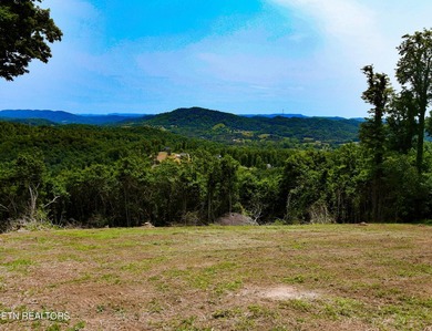 Hickory Pointe at Norris Lake. Lake and mountain view lot - photo 9
