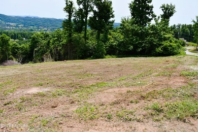 Hickory Pointe at Norris Lake. Lake and mountain view lot - photo 10
