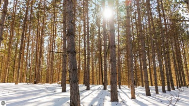 Lake Acreage For Sale in Williamsburg, Michigan