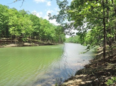 Lot 50 Shoreside at SipseyBuy now build later!.62 acres with 135 - Lake Lot For Sale in Double Springs, Alabama