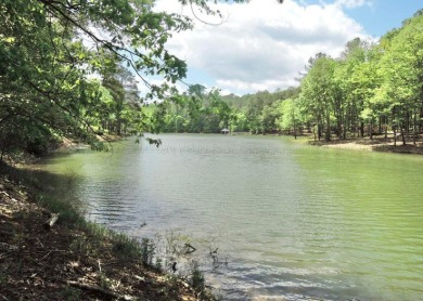 Lot 50 Shoreside at SipseyBuy now build later!.62 acres with 135 - photo 2
