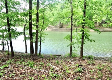 Lot 50 Shoreside at SipseyBuy now build later!.62 acres with 135 - photo 3