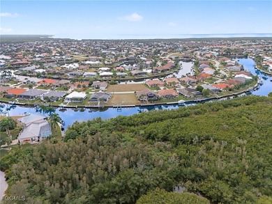 Build your dream waterfront home within the enviable Punta Gorda - photo 14