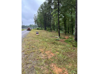 Lot 50 Shoreside at SipseyBuy now build later!.62 acres with 135 - photo 4