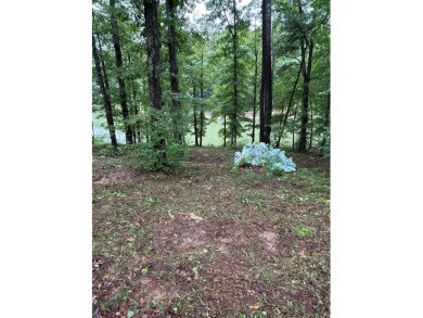 Lot 50 Shoreside at SipseyBuy now build later!.62 acres with 135 - photo 5