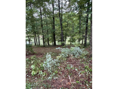 Lot 50 Shoreside at SipseyBuy now build later!.62 acres with 135 - photo 6